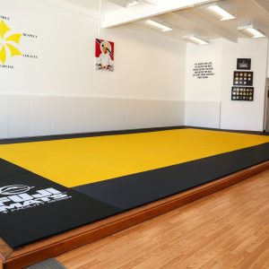 Tatami Olímpico Judo FUJI 4 cm