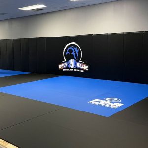 Tatami Olímpico Jiu Jitsu FUJI